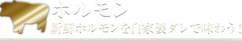 新鮮ホルモンを自家製ダレで味わう!